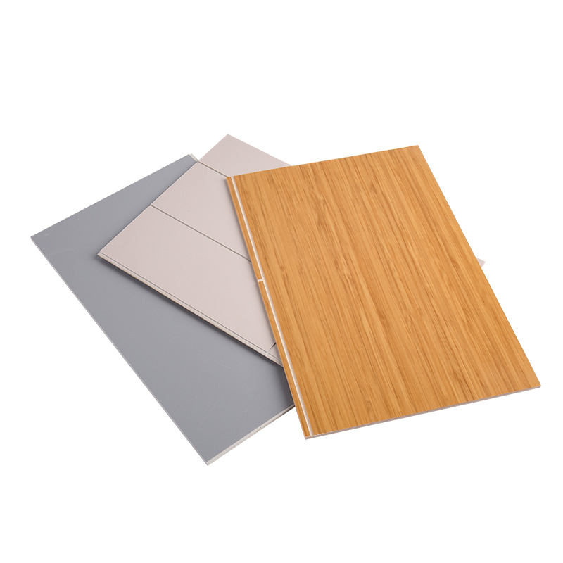 Muro di decorazione d'interni che copre i moderni pannelli SPC YXSPC604